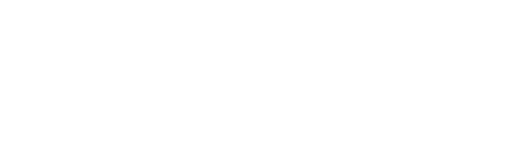 Modern Luxury Angeleno